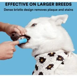 Set Di Spazzolini Da Dito, Design Ergonomico, Setole Avvolgenti Per Una Facile Pulizia Dei Denti, Cure Dentistiche -Assistenza Domiciliare 73334986 4