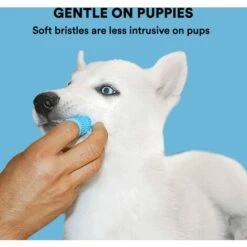 Set Di Spazzolini Da Dito, Design Ergonomico, Setole Avvolgenti Per Una Facile Pulizia Dei Denti, Cure Dentistiche -Assistenza Domiciliare 73334986 5